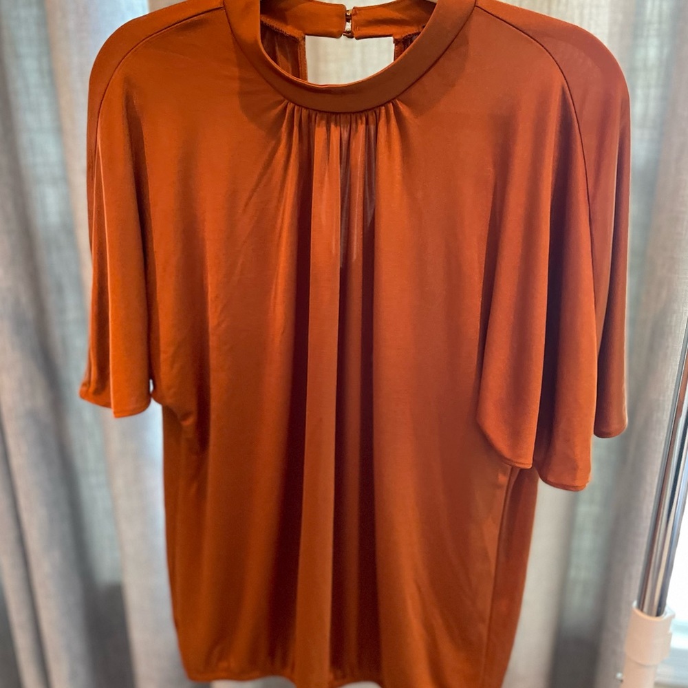 GORGEOUS Bronze Ann Taylor blouse in size Small